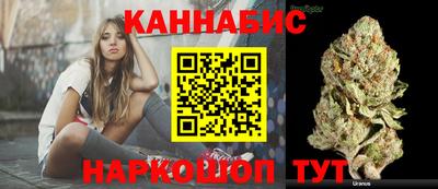 сатива Кандалакша