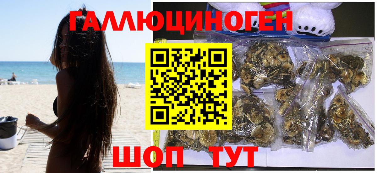 Галлюциногенные грибы MAGIC MUSHROOMS  Псилоцибиновые грибы Psilocybe  Кохма  Вход с VPN 